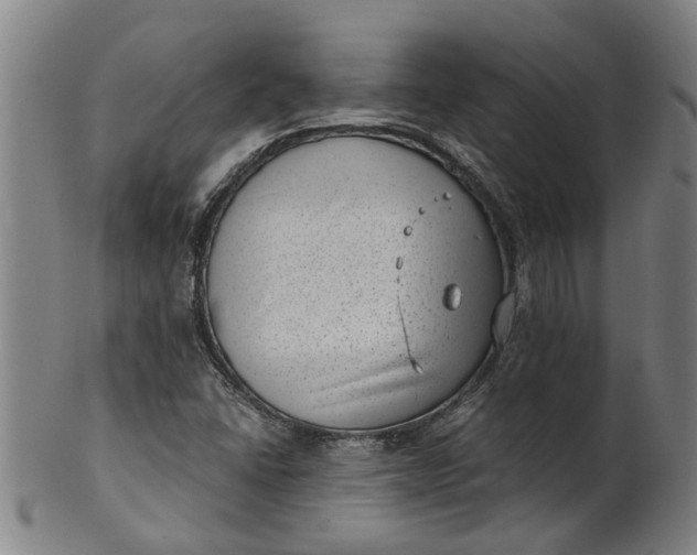 X0000101651406200807241344