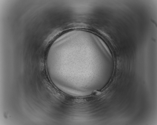 X0000101651407200807241344