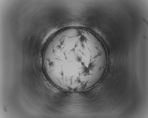 X0000101651408200807241344