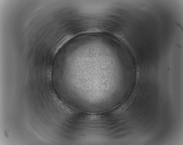 X0000101651409200807241344