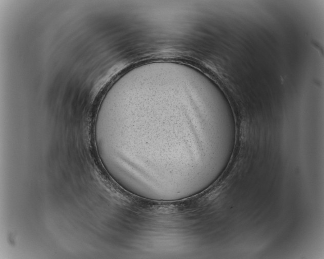 X0000101651410200807241344