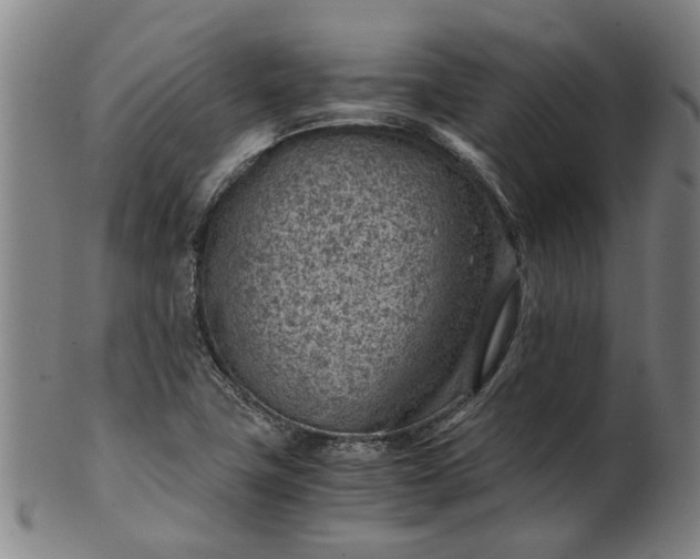 X0000101651411200807241344