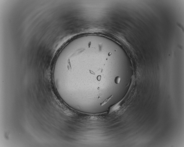 X0000101651412200807241344