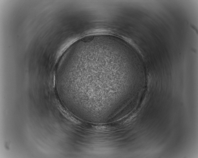 X0000101651413200807241344