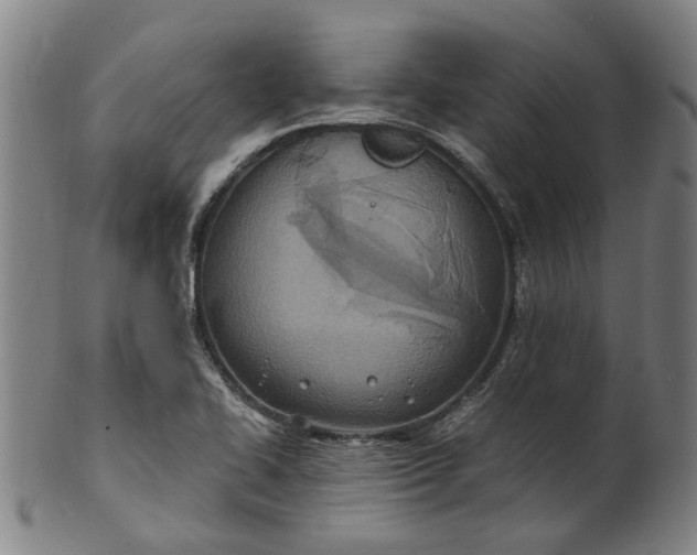 X0000101651414200807241344