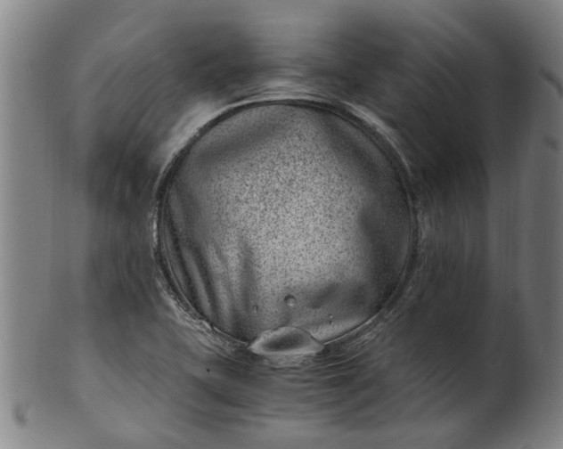 X0000101651415200807241344