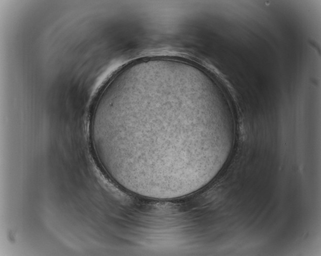 X0000101651416200807241344