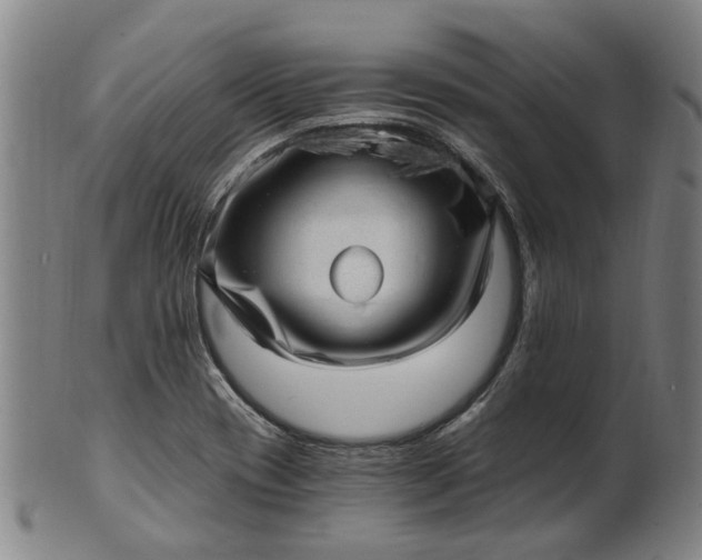 X0000101651417200807241344