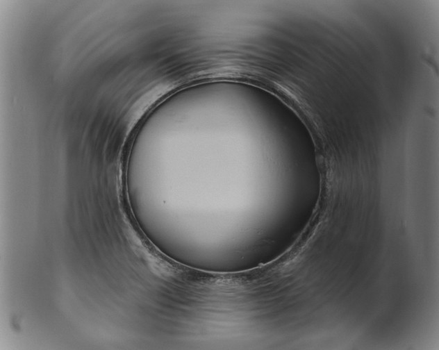 X0000101651418200807241345