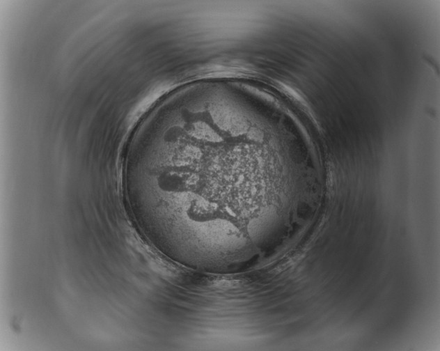 X0000101651419200807241345