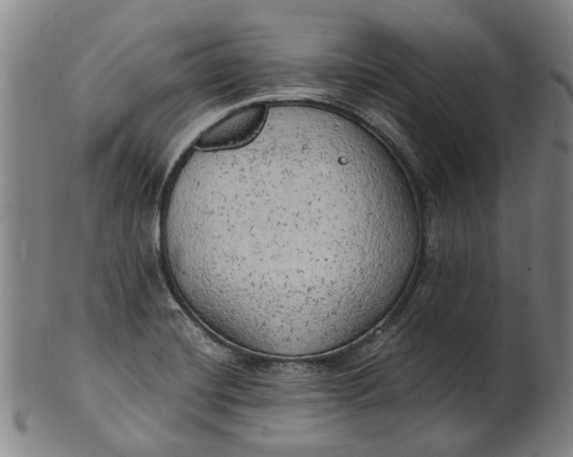 X0000101651420200807241345