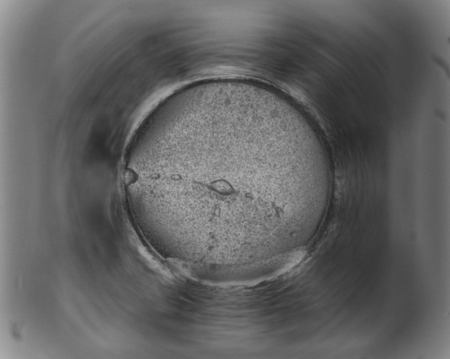 X0000101651421200807241345