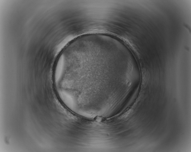 X0000101651422200807241345