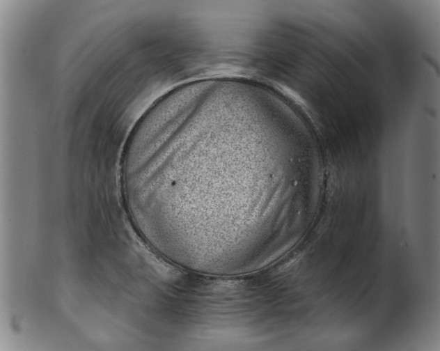 X0000101651423200807241345