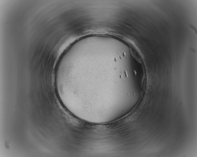 X0000101651424200807241345