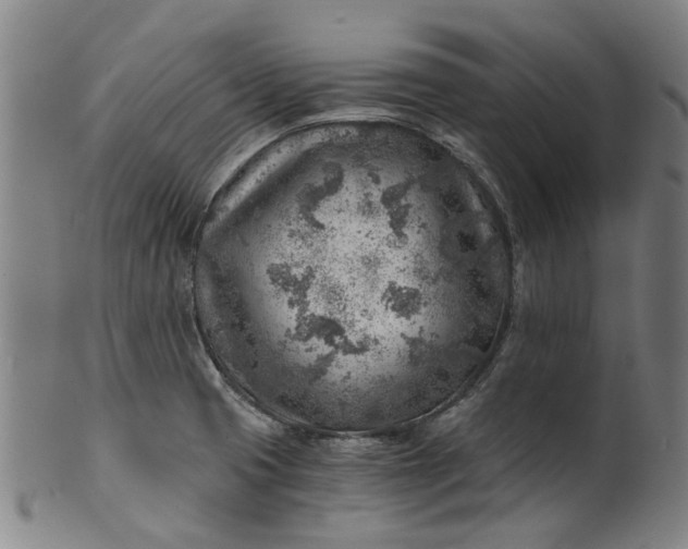 X0000101651425200807241345