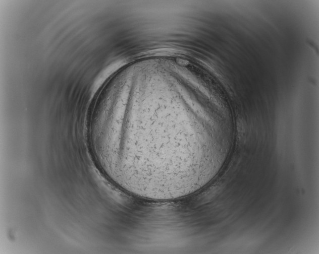 X0000101651426200807241345