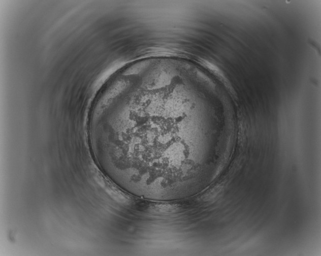 X0000101651427200807241345