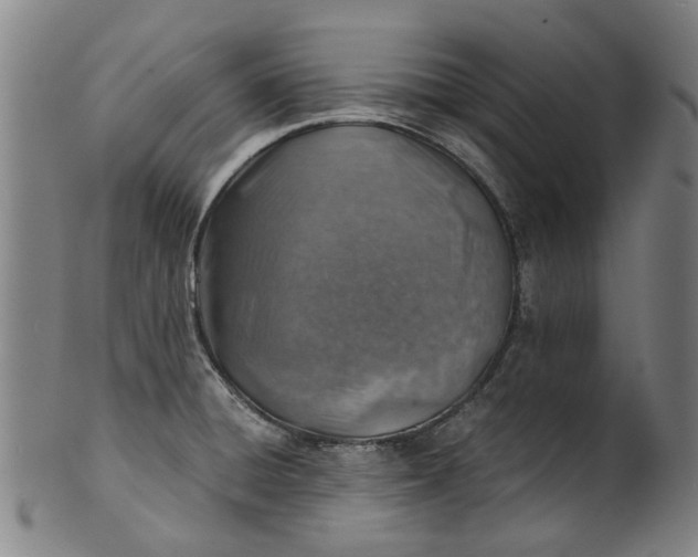 X0000101651428200807241345