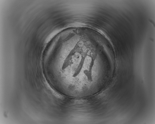 X0000101651429200807241345