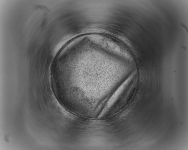 X0000101651430200807241345