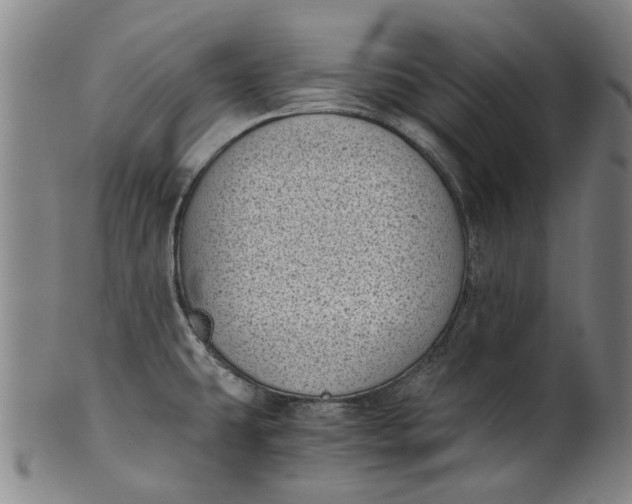 X0000101651431200807241345