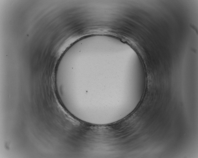 X0000101651432200807241345