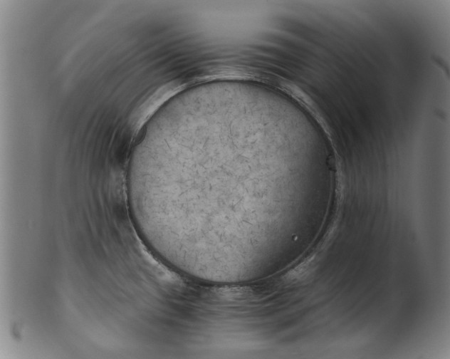 X0000101651433200807241345