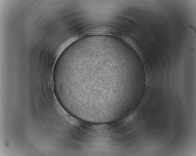 X0000101651434200807241345