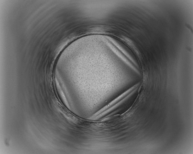 X0000101651435200807241345