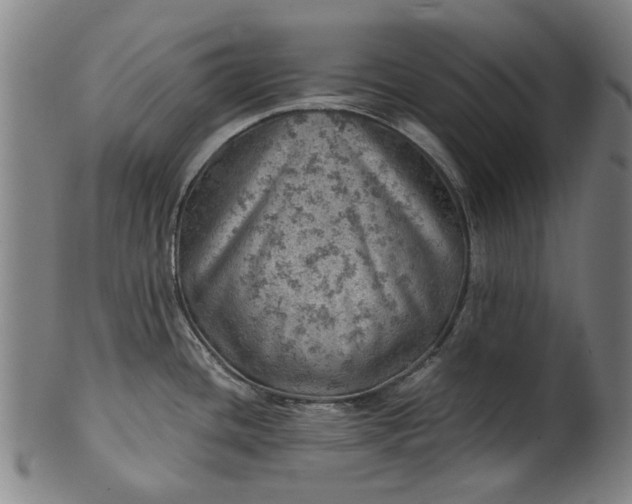 X0000101651436200807241345