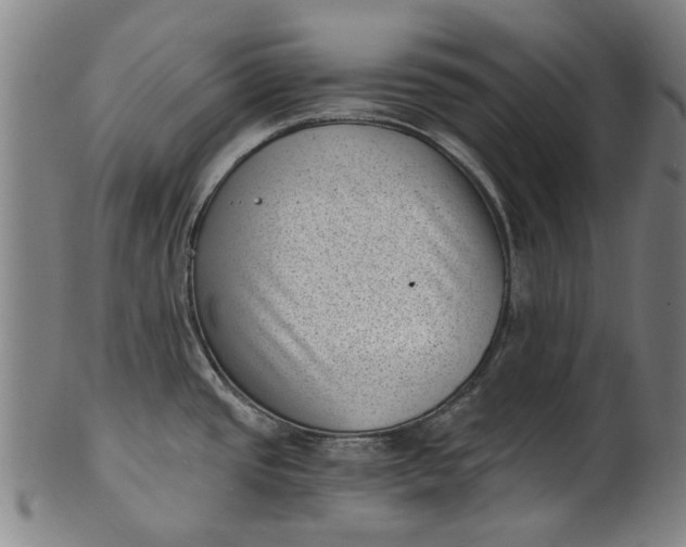 X0000101651437200807241345