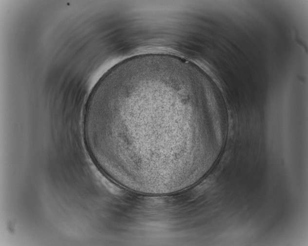 X0000101651438200807241345