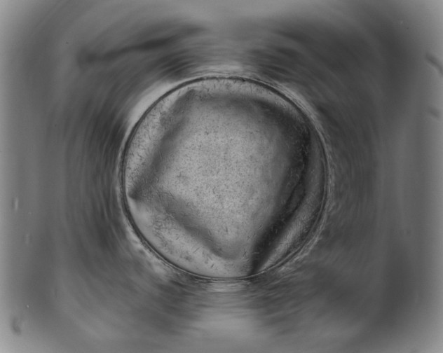 X0000101651440200807241345