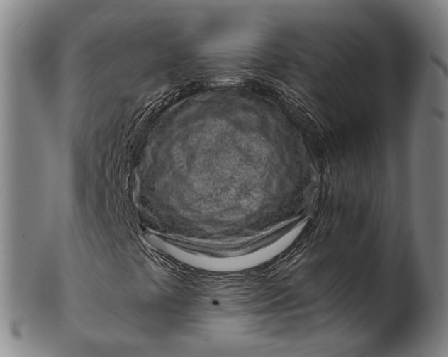 X0000101651441200807241344