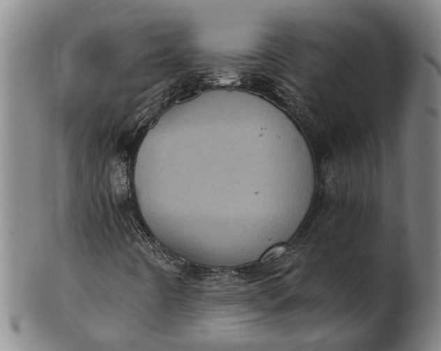 X0000101651442200807241344