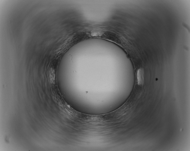 X0000101651443200807241344