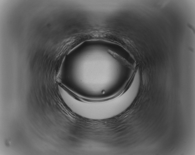 X0000101651444200807241344