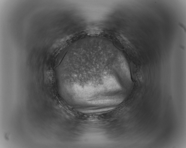 X0000101651445200807241344