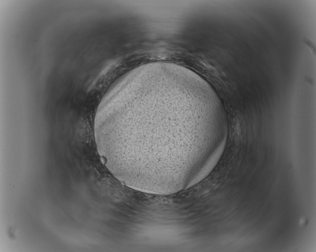 X0000101651446200807241344