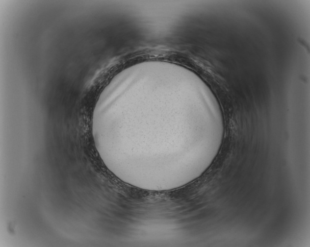 X0000101651447200807241344