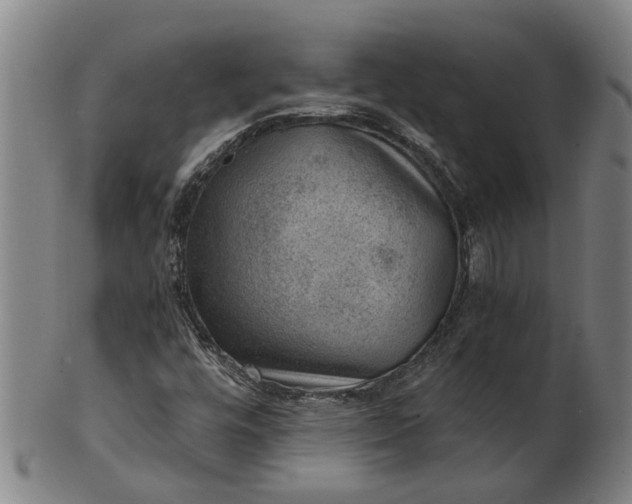 X0000101651448200807241344