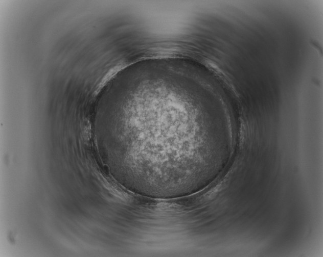 X0000101651449200807241344