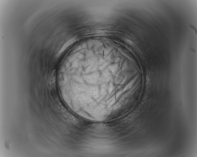 X0000101651450200807241344