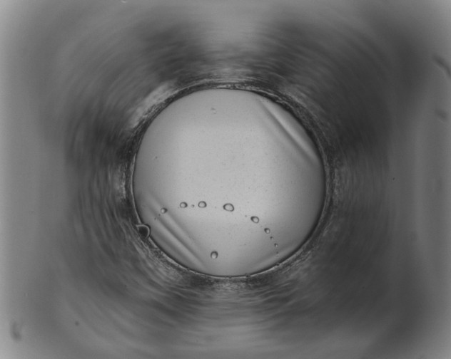 X0000101651451200807241344