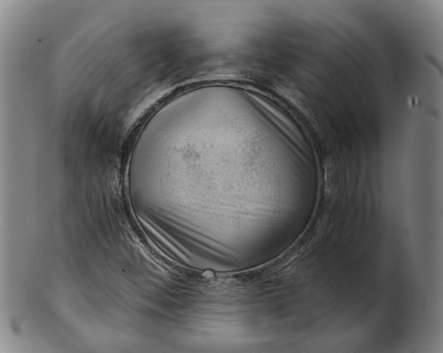 X0000101651452200807241344