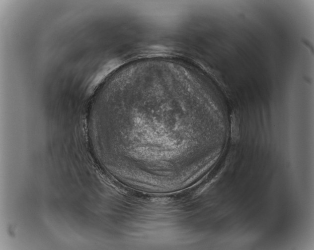 X0000101651453200807241344