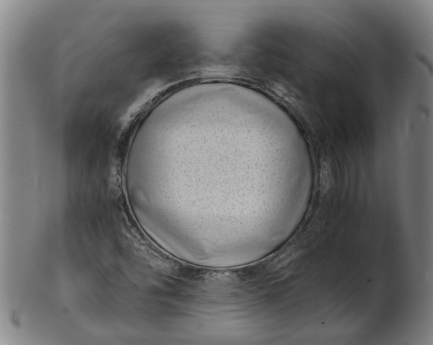 X0000101651454200807241344