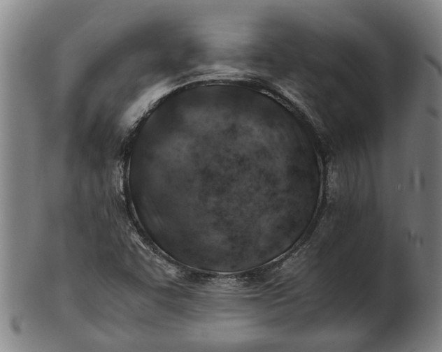 X0000101651455200807241344