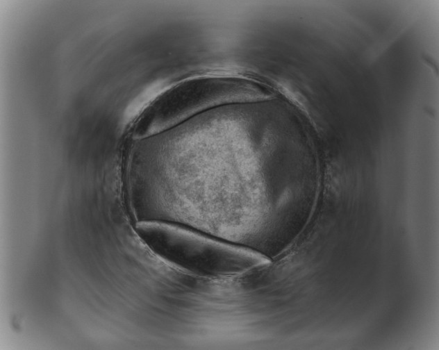 X0000101651456200807241344